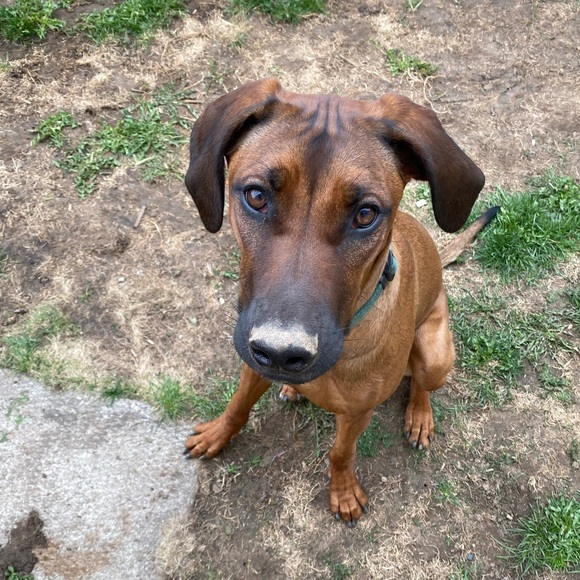 Meet your Posher, Kate - Picture 1 of 1